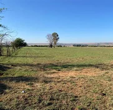 Main property image